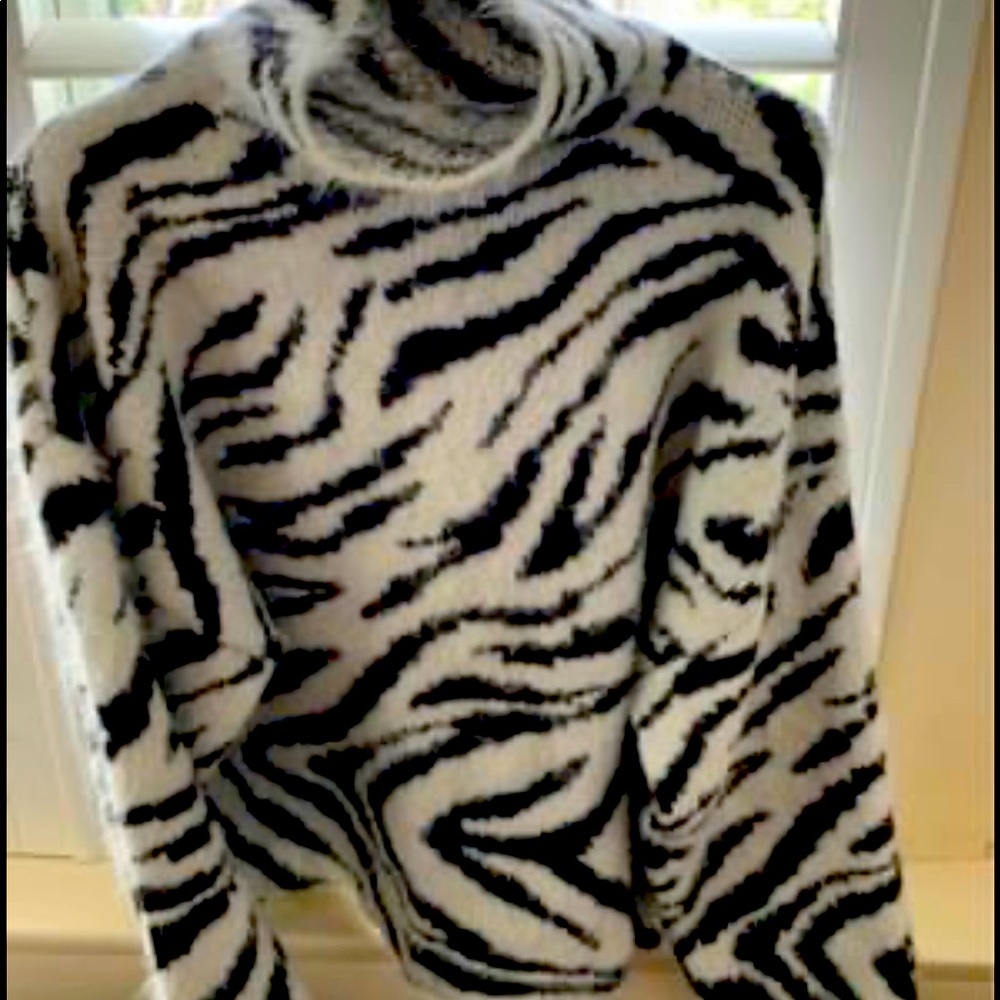 Zara sweater